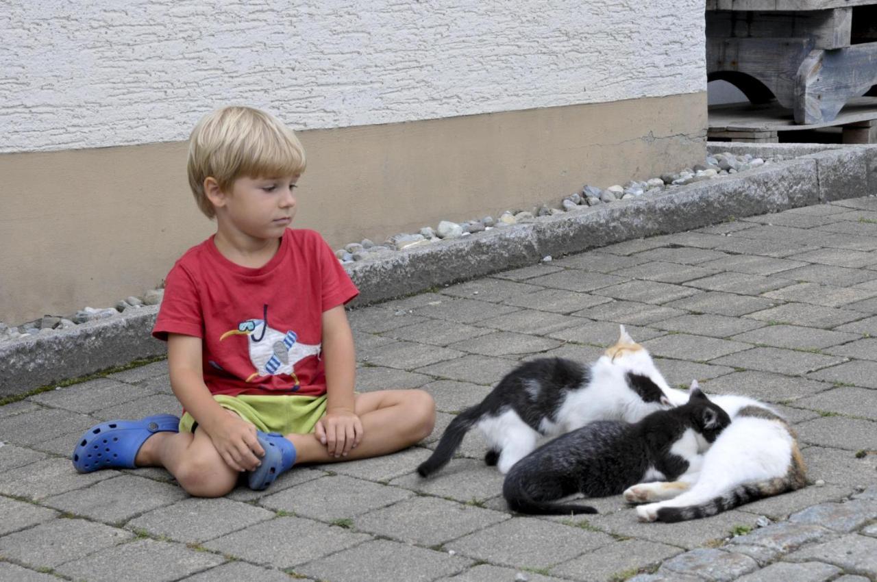 Ferienhof Metzler Bodnegg Kültér fotó