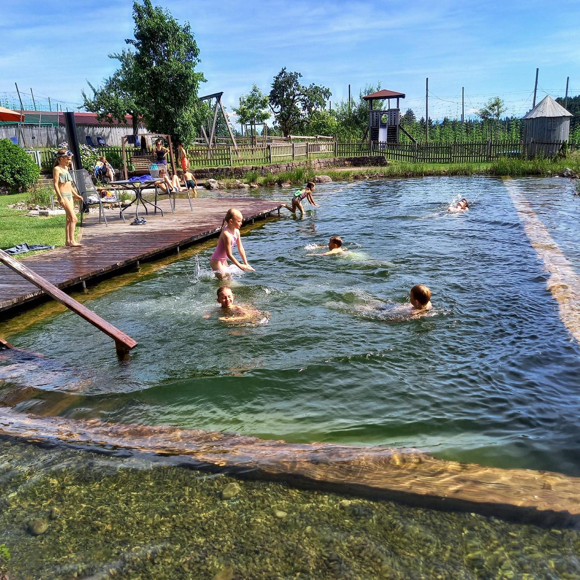 Ferienhof Metzler Bodnegg Kültér fotó